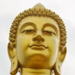 Can Vipassana Really Lead to Enlightenment? An Honest Answer