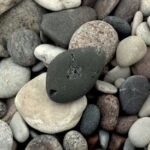 What’s the Difference Between Vipassana and Zen Meditation?