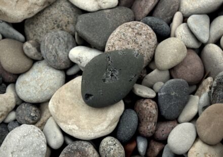 What’s the Difference Between Vipassana and Zen Meditation?